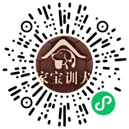 家宝训犬界面展示